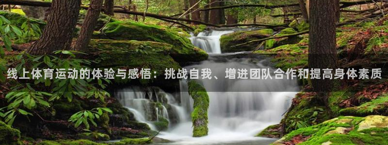 球速体育