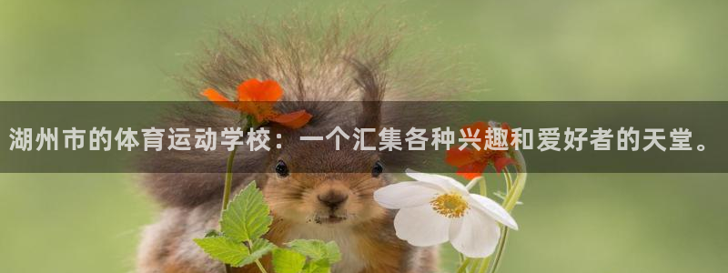 球速体育
