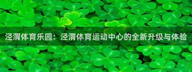 球速体育