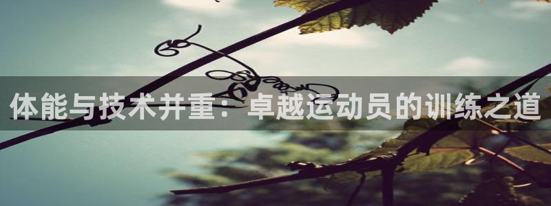 球速体育