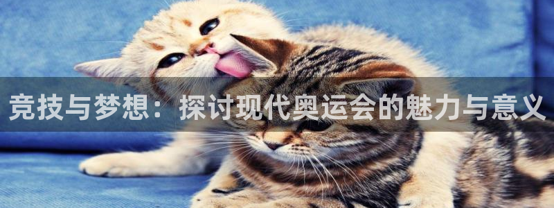 球速体育