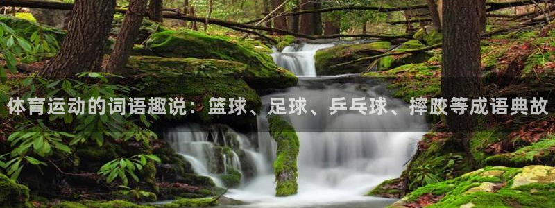 球速体育：体育运动的词语趣说：篮球、足球、乒乓球、摔跤等成语典故