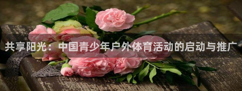 球速体育