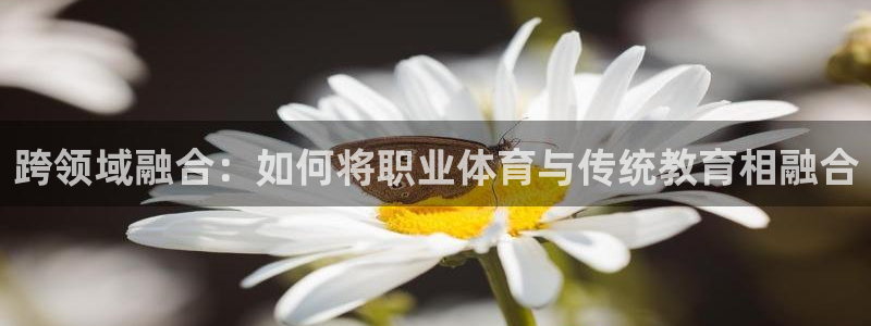 球速体育