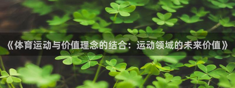 球速体育：《体育运动与价值理念的结合：运动领域的未来价值》
