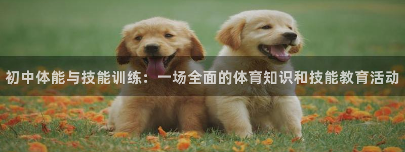 球速体育：初中体能与技能训练：一场全面的体育知识和技能教育活动